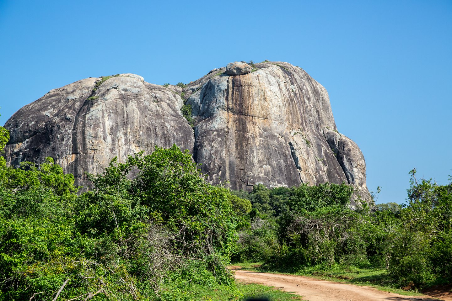 Yala National Park